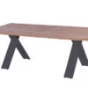HARTMAN Xanadu Esstisch, Xerix, Alu / Teakholz, 220 X 100 Cm, X-Gestell