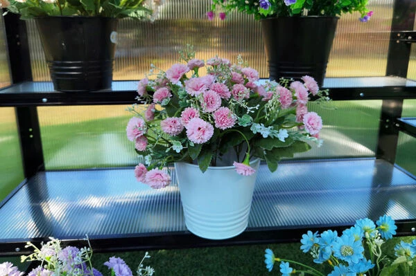 OUTFLEXX Gewächshaus, Schwarz, Alu/Polycarbonat, 186x61x86cm, Pulverbeschichtet – Bild 9