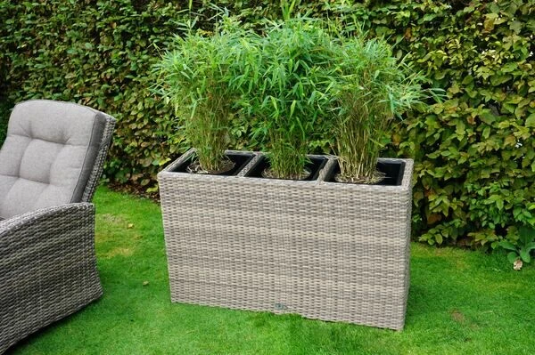 Ploß Rabida Pflanzgefäß, Champagner-meliert, Polyrattan, 113x40x70 Cm, Mit 3 Kunststoffeinsätzen – Bild 2