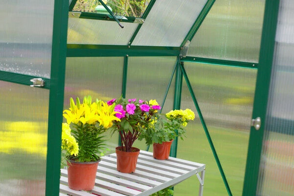 OUTFLEXX Gewächshaus, Grün, Alu/Polycarbonat, 6mm, Inkl. Fundament, Pulverb. 195 X 195 X 205 Cm – Bild 3